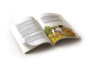 Печать журналов с креплением КБС на PUR клей