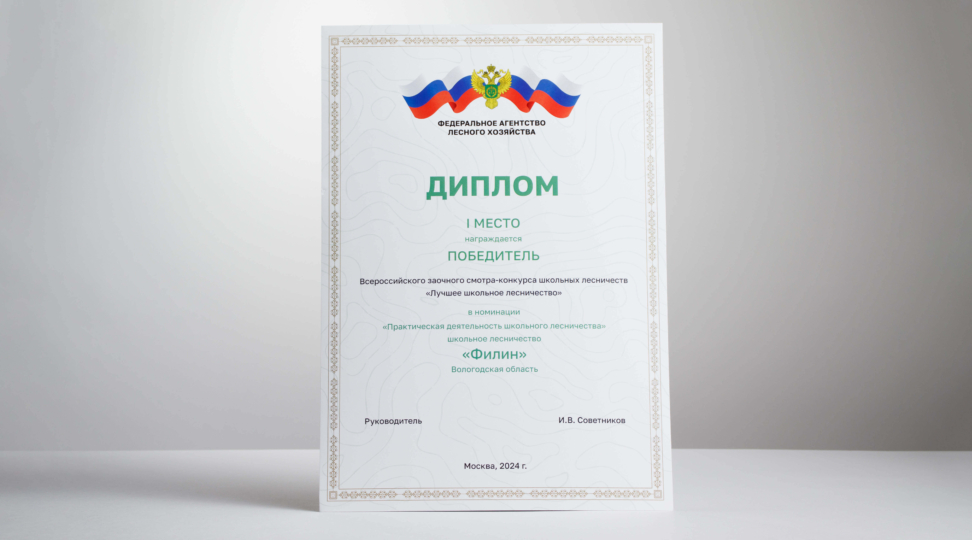  - картинка 1