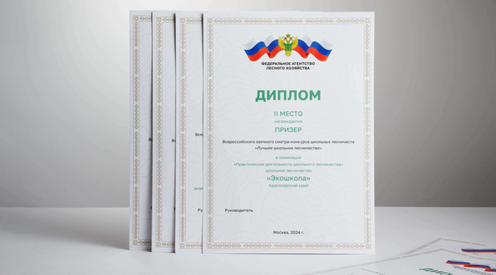  - картинка 2