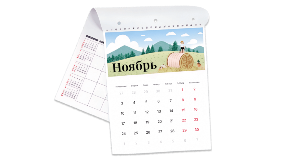  - картинка 1
