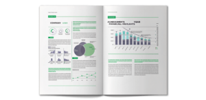 Печать годовых отчётов в Copy.ru