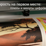  - картинка 4