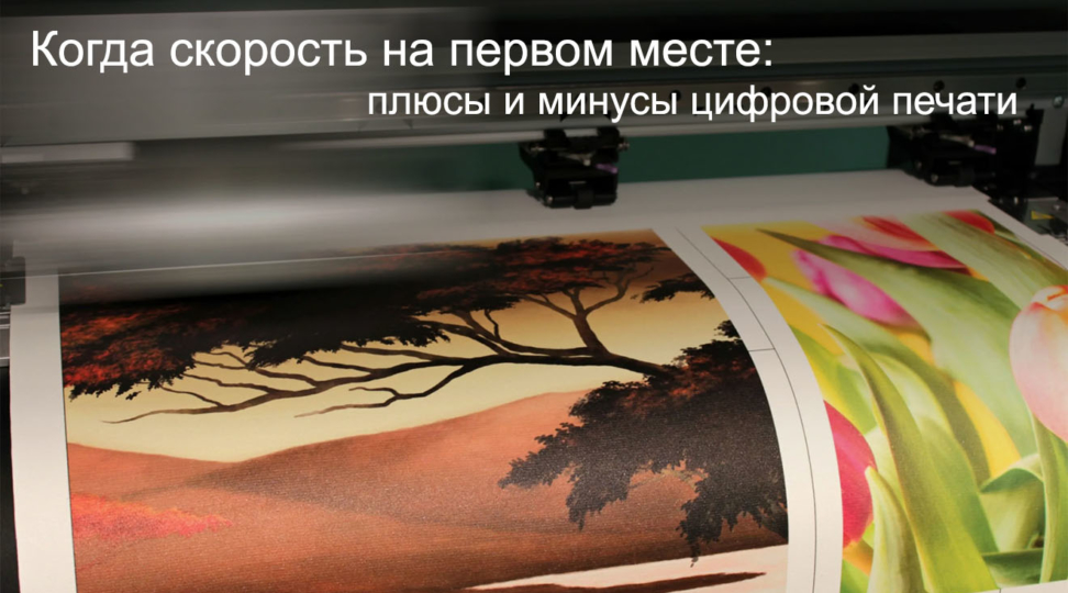  - картинка 2