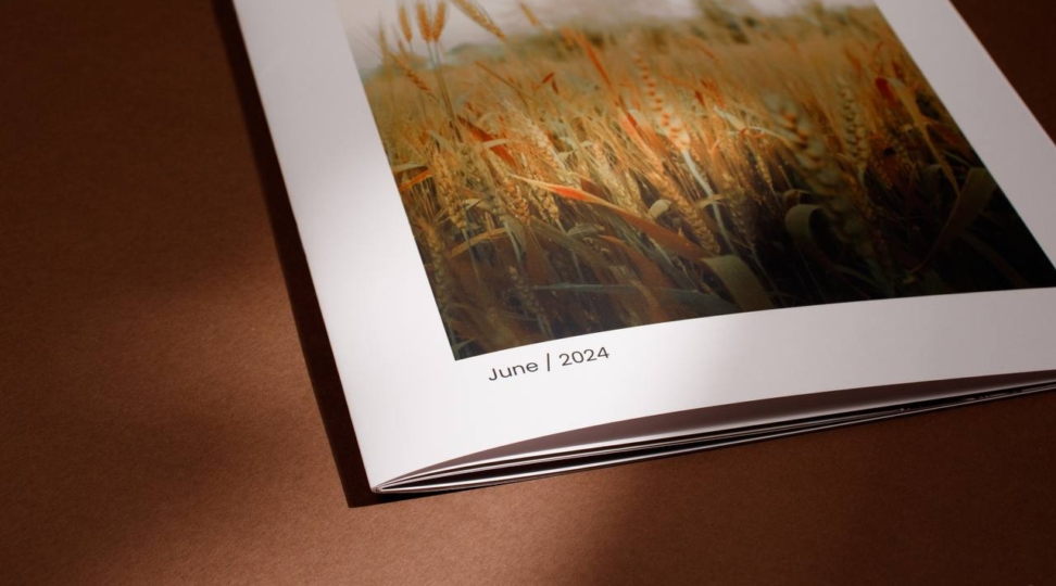 Shtapel bo'yicha broshyura - rasm 3