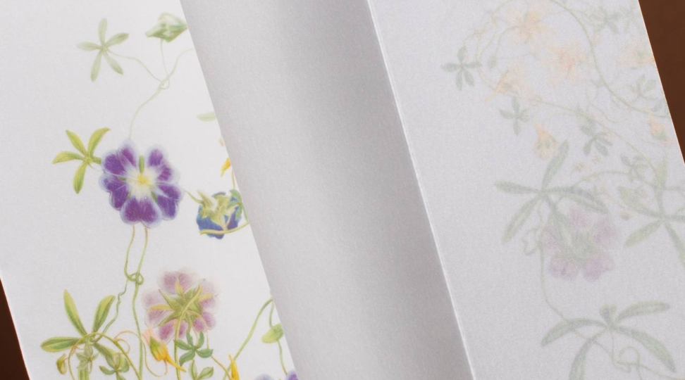 Калька: 6 интересных фактов 🤓 - картинка 3