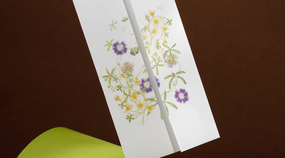 Калька: 6 интересных фактов 🤓 - картинка 1