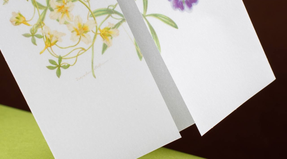 Калька: 6 интересных фактов 🤓 - картинка 4